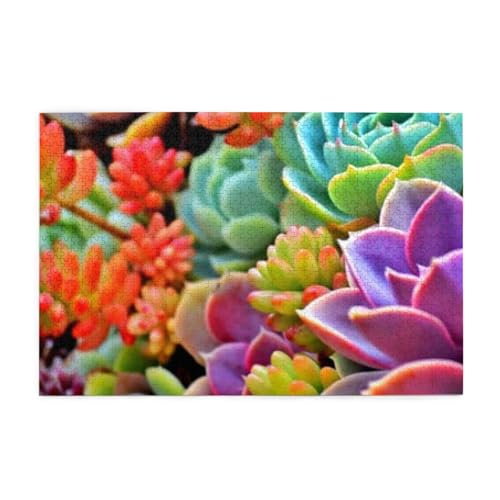 美しい多肉植物0 1000ピース ジグソーパズル 大人向け難しい 破片なし カチっとハマる 誕生日 おしゃれ インテリア ギフトハウス (75×50cm)