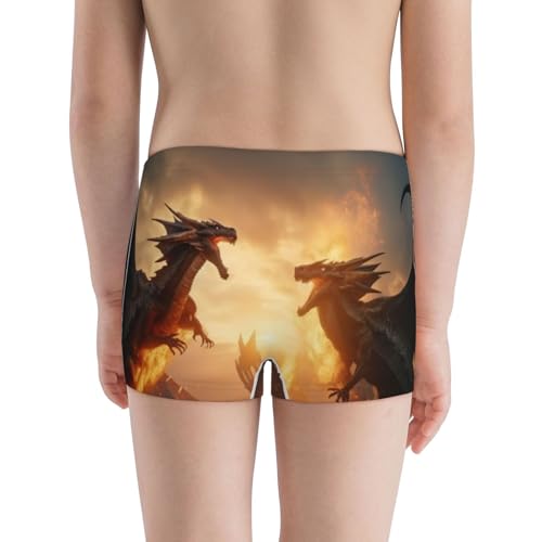 Boys' Cotton Boxer Brief Soft Underwear-Castle Cool Fire Dragon3