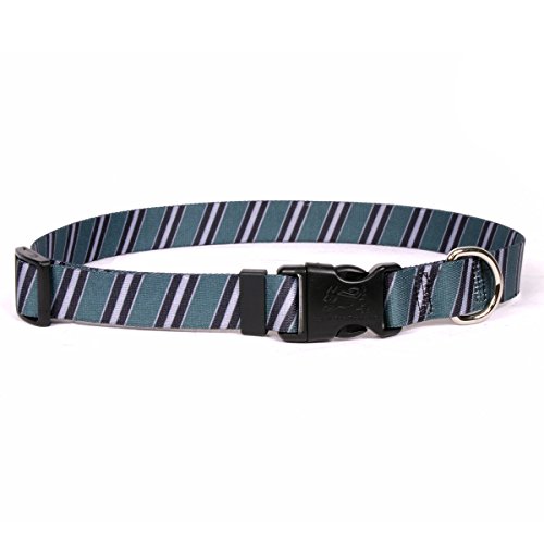Image of Yellow Dog Design Team Spirit Green, Black and Silver Dog Collar-Size Teacup-3 /8 Wide and fits Neck 4 to 9 inch