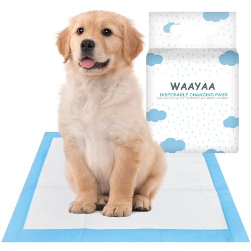 Image of Disposable Pet Pads for Dogs Training, Protection Underpads with Leak Proof and Super Absorbent for Puppy Pee Potty Training, Baby & Adults Bed Pads for Incontinence -Blue(17 inch x 13 inch, 50 Count)