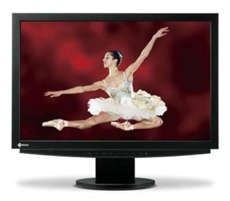 Amazon.co.jp: NANAO FlexScan 24.1インチ液晶ディスプレー