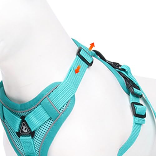 Harnais et laisse pour chat réglable en maille souple taille S - 15