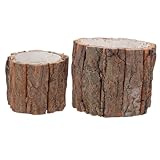 DIYEAH 2 Piezas Maceteros de Madera Rústica Macetas Pequeñas Impermeables Estilo Tronco para Plantas de Interior Decoración Natural para Jardín Oficina y Hogar