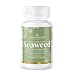 Seaweed Kelp Supplements New Zealand |Premium 100% Pure Organic | Strongest Iodine 500mcg | Traceable | Oceangreen Organics | Thyroid Support, Gut Health, Greater Energy & Weight Loss | 60 Vege Caps