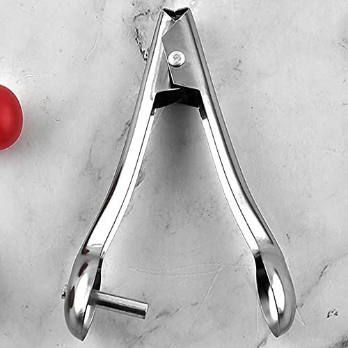 Fruit Pit Core Remover Stainless Steel Plum Stone and Corer Pitter Plum Pitting Tool Cherry Pitter Tool for Home Kitchen