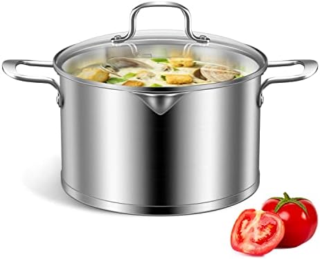 9 litres Stainless Steel Induction Stock Pot with lid, Cooking Stockpot with Pour Spout 9 Quart, 28 cm Soup Pot ,Scale Engraved Inside, Compatible with All Heat Sources, Dishwasher Oven Safe