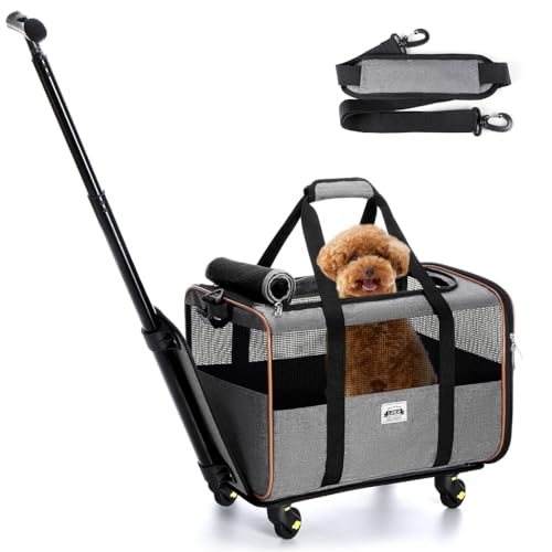 PJDDP Trasportino per Gatti Cani con Ruote, Approvato dalla Compagnia Aerea Trasportino Gatto Trolley con Manico Telescopico E Base Rimovibile,Blu