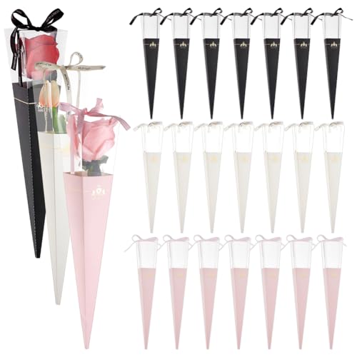 BENECREAT 30Zbg o^Ct[u[PobO t[obO VO[YX[u VO[Y{bNX DIYMtg t[bsOy[p[obO //a/o^Cf[p