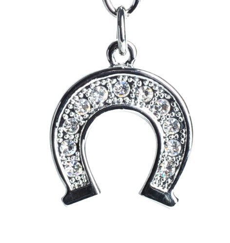 Lilly Rocket Bling Rhinestone Cowboy Lucky Horseshoe Key Chain Keyring with Texas bling Crystals Rhinestones