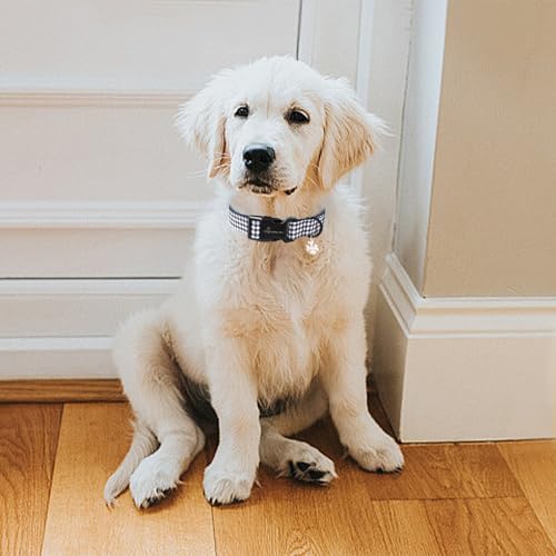 ARING PET Hundehalsband, Kariertes Hundehalsband mit Schnellverschluss aus Kunststoffschnalle, Bequemes Halsband aus Baumwolle für Jungen und Mädchen Hunde