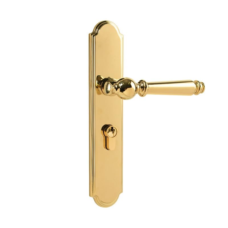 Serrure de porte anti bruit magnétique en laiton massif poignée bois 122