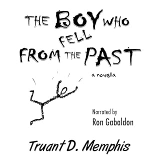 The Boy Who Fell from the Past cover art