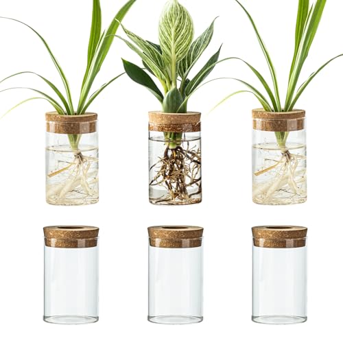 Snminetal Glass Plant Propagation Station Set of 6 Modern Desktop Flower Vase for Succulent Cuttings Home Office Decoration Ideal Housewarming Gift for Living Room Bedroom