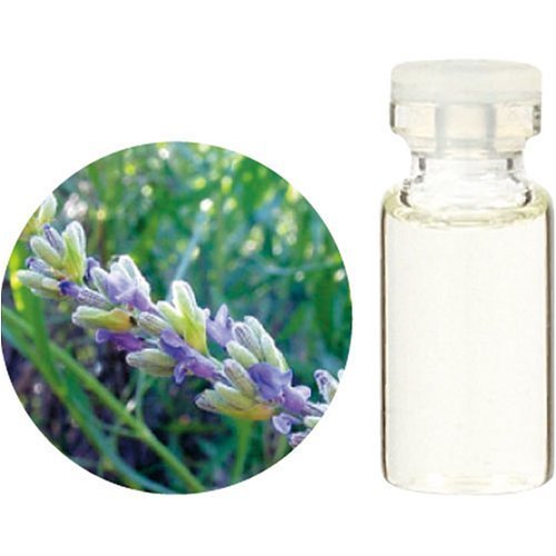 アロマ スパイクラベンダー オイルの人気商品 通販 価格比較 価格 Com