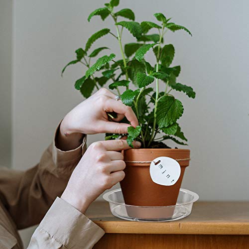 Plant Saucer,5 Pack Heavy Duty Plastic Plant Saucer Drip Trays Small Plant Plate Dish,Heavy Duty Clear Plastic Plant Saucers Flower Pot Tray Flower Pot Drip Pan For Indoor And Outdoor Plants (8 Inch) #TOP2