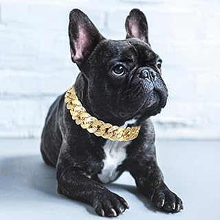 Eurobuy Gold Chain Dog Collars, Small Medium Cool Cat Dog Costume Fashion Metal Pet Dog Collar Necklace Jewelry Accessories for Teddy French Bulldog