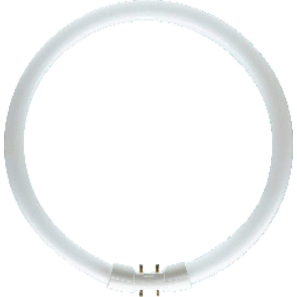 Osram LUMILUX T5 - Lámpara fluorescente, 2Gx13 FC 40 W/830