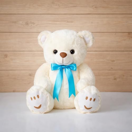 Amazon Brand - Jam & Honey Teddy Bear Soft Toy (33 Cm, White, Cream)
