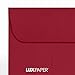 LUXPaper Coin Envelopes, Garnet, 2 1/4-Inch x 3 1/2-Inch, 50-Count
