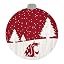 Washington State Cougars