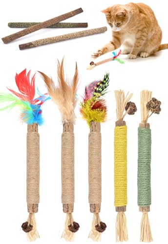 ERKOON 8 Stück Katzenstick, Katzenminze Spielzeug, Katzen Kauhölzer Sticks, Katz Zahnpflege Spielzeug, Dental Chew Stick Help with Tartar & Bad...