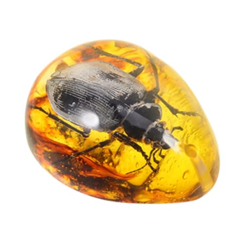 Abaodam Amber Beeswax Specimen Insect Amber Desktop Amber Ornament Amber Insect Specimen Amber Stone Beetle Insectspecimen Amber Insect Pendant Insect Samples Stones DIY Beetle Amber Resin