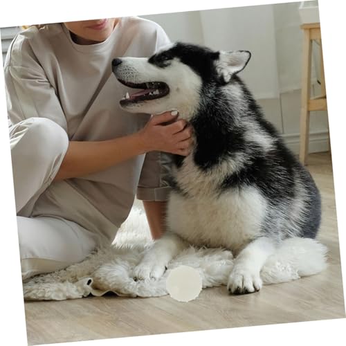 4 balles lumineuses à mâcher pour chiens actifs