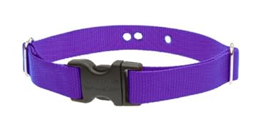 Lupine 1-Inch Purple 16-24-Inch Containment Collar Strap for Large Dogs