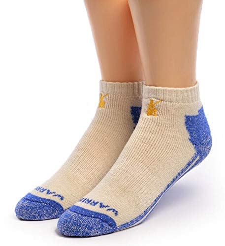 Warrior Alpaca Socks - High Performance Ankle High Alpaca Wool Sport Socks For Men And Women(Large)