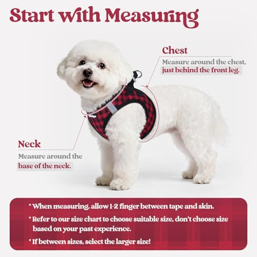 Image of rabbitgoo Dog Harness Small Sized and Leash Set, Step-in Puppy Pet Vest
