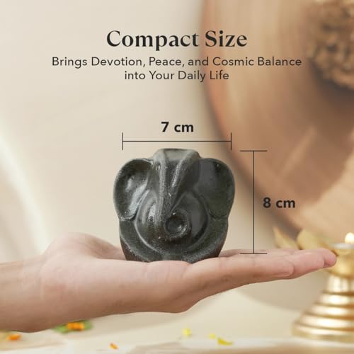 Image of Astrotalk Pyrite Ganesha Ji Murti | Ganesh Idol for Wealth, Prosperity & Positivity | Ganesh Idol for Home Decor & Car Dashboard | Powerful Pyrite Ganesha Idols for New Beginnings & Energy Balance
