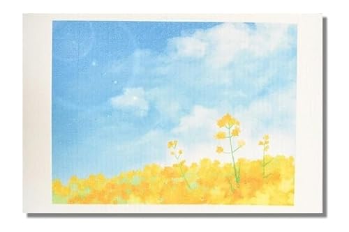 VR@ z hCc̃tL 3Zbg E؂̉