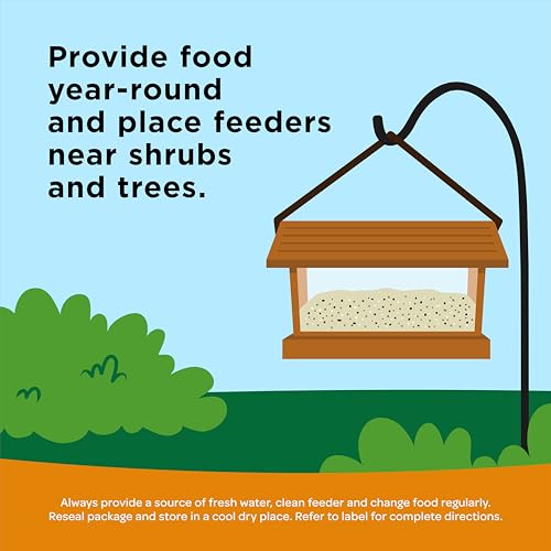 Kaytee Ultimate Wild Finch Blend Wild Bird Food, Attracts Finches & Other Outdoor Wild Birds, 10 Pounds - image 6