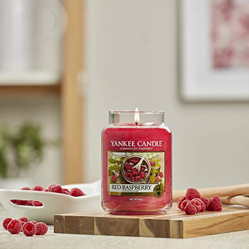 Yankee Candle Duftkerze im Glas (klein) | Red Raspberry | Brenndauer bis zu 30 Stunden