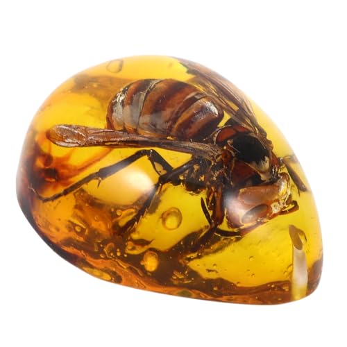 [CLISPEED] ?? IW ^yʃANZT[ WG[ lbNXpj[NfUC