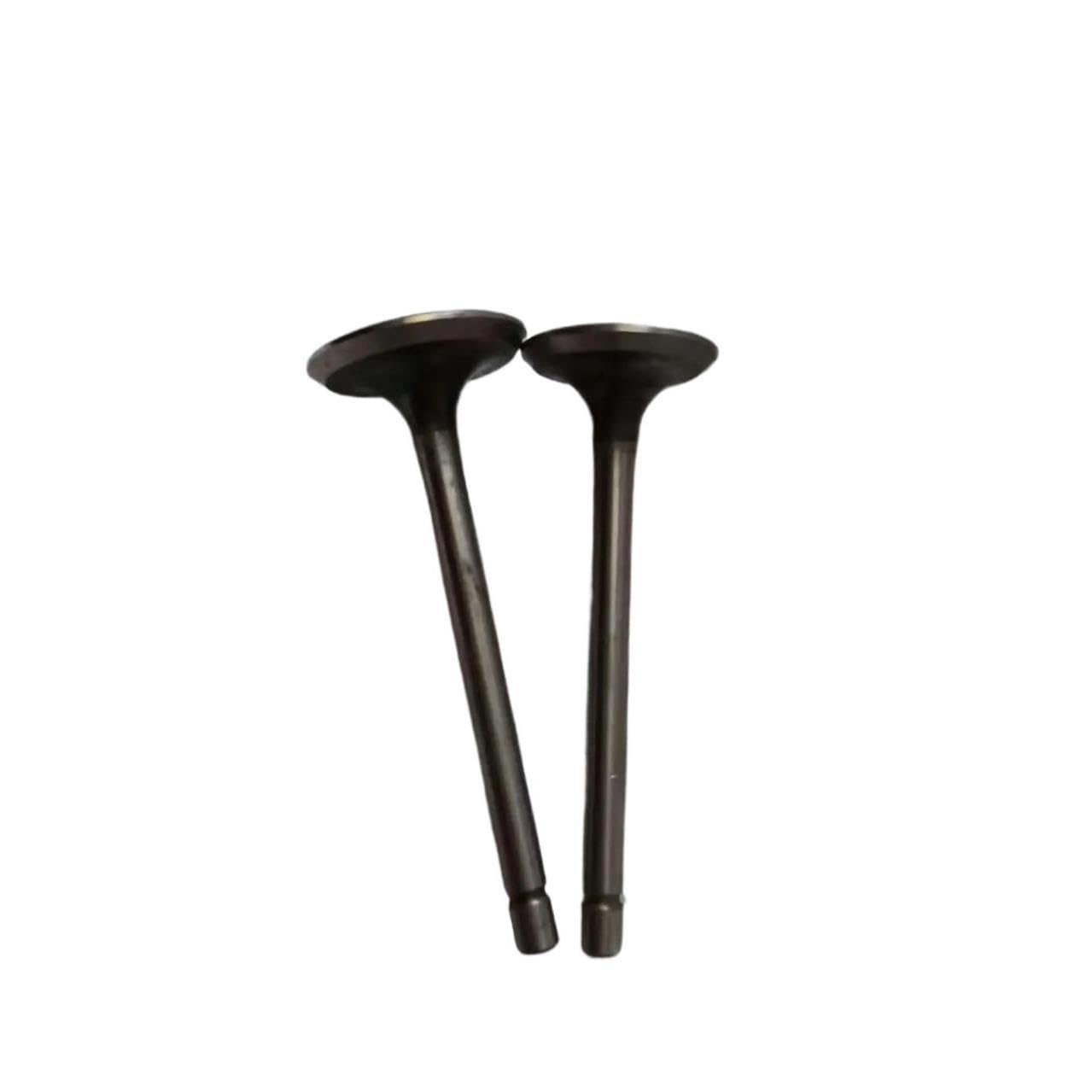 Valvola di Scarico Aspirazione Generatore Adatta for 806420 806419