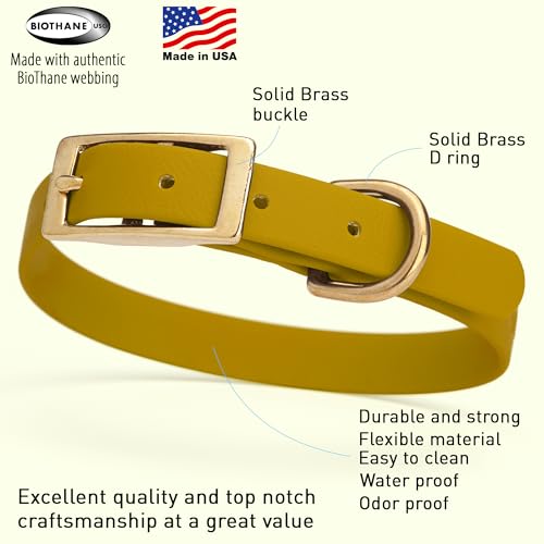 Image of Viper Biothane Heavy Duty Waterproof Dog Collar Strong Coated Nylon Webbing w /Solid Brass Hardware Odor-Proof Easy to Clean High Performance Fits Small Medium or Large Dogs, Treasure Gold