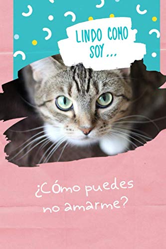 Lindo Como SoyComo Puedes No Amarme Este cuaderno es perfecto para todos los amantes de los gatos apasionados de los gatos, gatitos o mascotas en