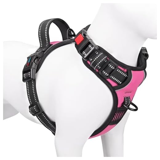PHOEPET No Pull Dog Harness Medium Reflective Front Clip Vest with Handle,Adjustable 2 Metal Rings 3 Buckles,[Easy to Put on & Take Off](M, Pink)