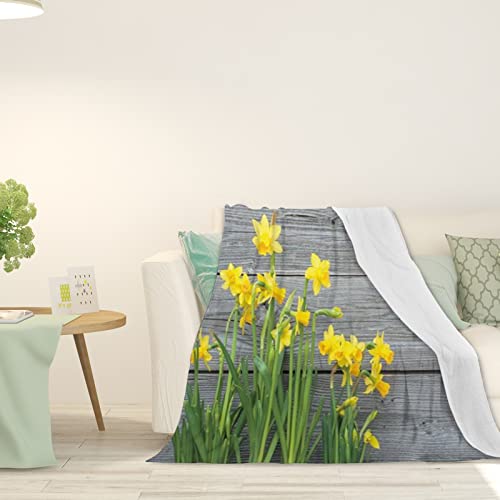 FJAUOQ Narzissen, verdickte gewichtete Decke für Erwachsene, Frühlingsnarzissen, altes Holz, Flanell, gemütliche Plüsch-Bettdecke, flauschige Decke, volle Größe, weiche Decke für Schlafsofa, Gelb,