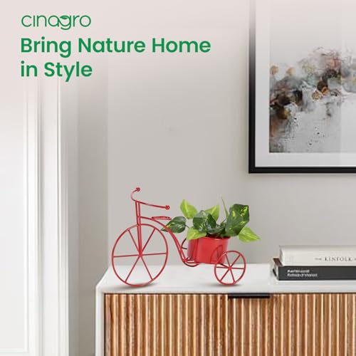 Image of CINAGRO Cycle Shaped Metal Plant Stand for Indoor & Outdoor Use, Decorative Planter Pot for Flowers & Ornaments, Stylish Metal Cycle Design, Living Room & Home Garden Decor, Style: Pedal Paradise
