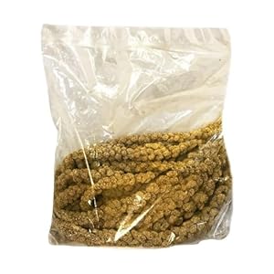Worlds Freshest Sun-Dried Spray Millet – Non-GMO (No Stems Only Edible Tops) – Healthy Bird Treat and Supplement for All Pet Birds Parakeets Cockatiels Finches – 1lb