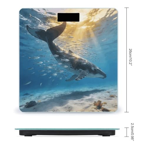 Báscula digital para baño con temática oceánica y vidrio templado miniatura 2
