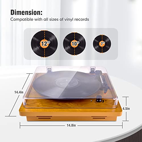 VQSLY Platine Vinyle Bluetooth, Lecteur Vinyles avec AUX RCA 3.5mm écouteur Jack Haut-Parleur Stéréo Intégré Housse de… - Les Beatles, Paul McCartney, John Lennon, RIngo Starr, George Harrison VQSLY Platine Vinyle Bluetooth, Lecteur Vinyles avec AUX RCA 3.5mm écouteur Jack Haut-Parleur Stéréo Intégré Housse de… – Image 3