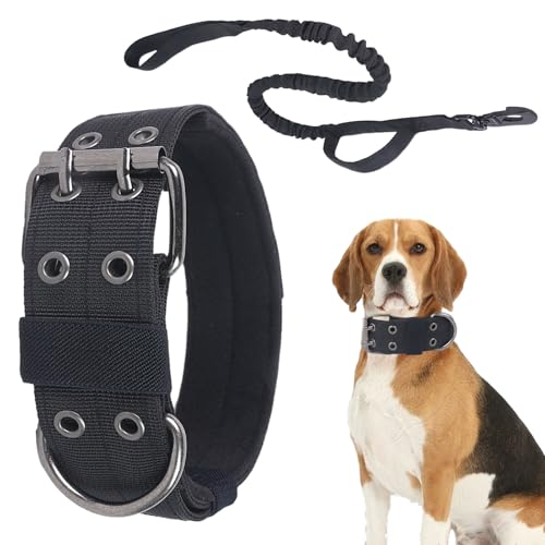 大型犬用の首輪 | ナイロン製 ワイド厚手 ペット牽引用品 リード付き - 大型犬用ナイロン首輪 - 散歩、運動、服従訓練、キャンプ用
