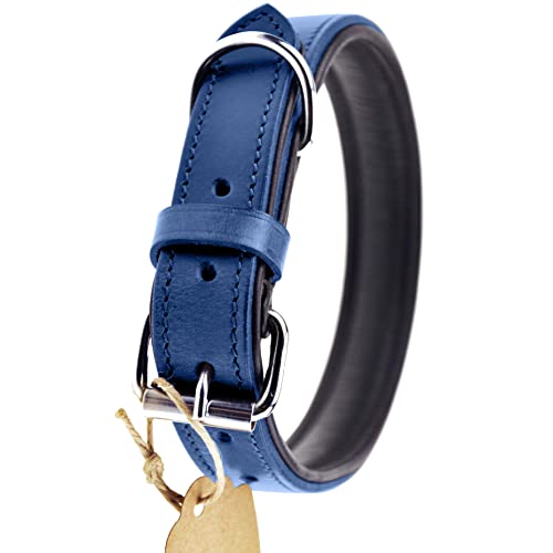 Schnüffelfreunde Halsband für Hunde aus Leder, Hundehalsband für den großen, mittleren und kleinen Hund, Lederhalsband gepolstert, robust (L - 36-45cm, Blau)