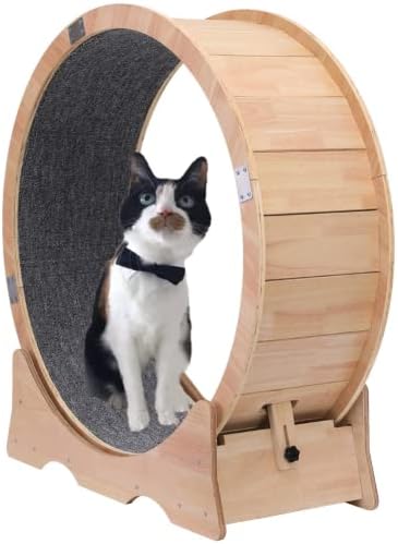 Cat Exercise Wheel Indoor Treadmill Small Animals Exercise Wheels ，cat Runway, Fitness Weight Loss Device，Cat Running Wheel ，Pet Toy ，Large-Sized cat Wheel (Large)