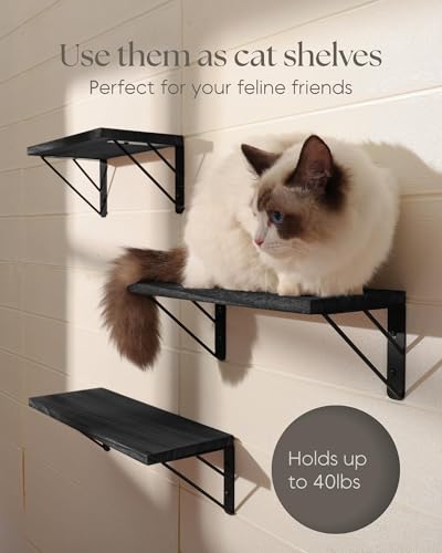 Image of BAYKA Wall Mounted Floating Shelves, Wood Floating Wall Shelf for Books & Decor, Small Space-Saving Display & Organizer（Black，Set of 3） (Pack of 2)
