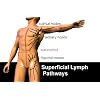 Lymphatic Drainage Massage