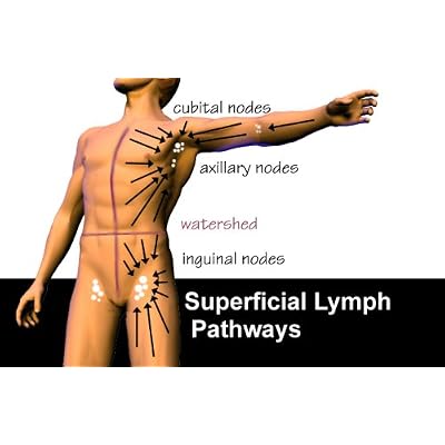 Lymphatic Drainage Massage